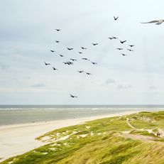 Denmark (3/3)

Experience the final chapter of this breathtaking coastal panorama! Let the serenity of the lighthouse and the vast ocean carry you to new horizons. 🌊✨

#vintrica #CoastalBeauty #PanoramaView #Wanderlust #Denmark #TravelPhotography #TravelInspiration #ScenicViews #ExploreMore