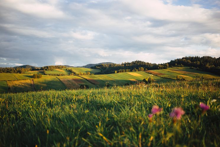 Landscape in Poland