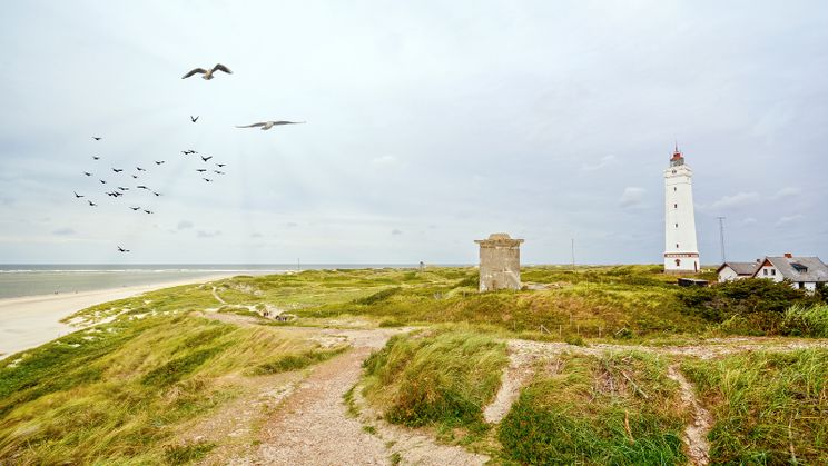 Küste