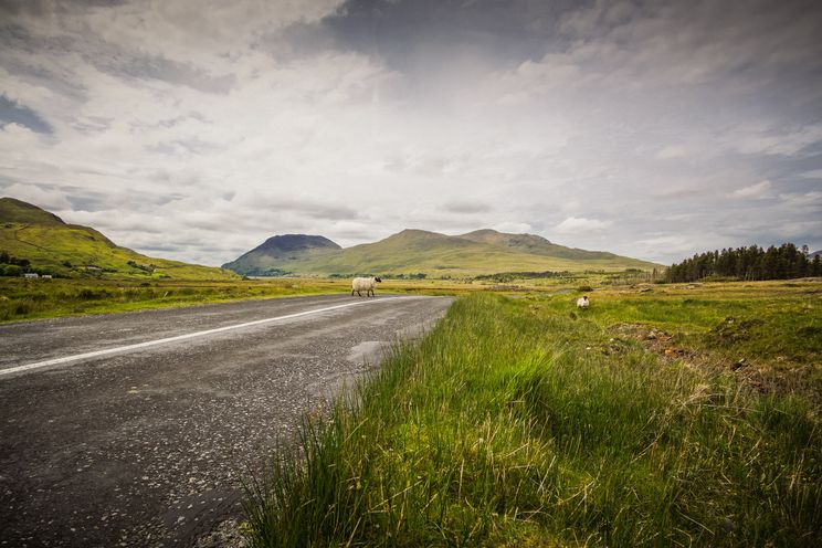 Straße in Irland