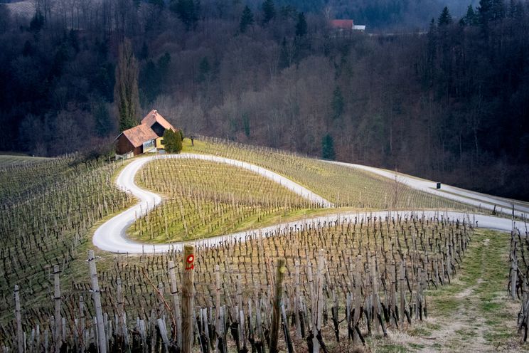 Road in Slovenia