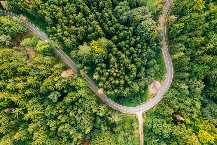 Road in the Czech Republic