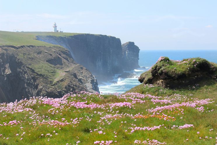 Cliff in Irland